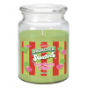 Swizzles 18oz Jar Candle