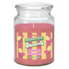 Swizzles 18oz Jar Candle