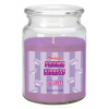 Swizzles 18oz Jar Candle