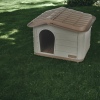 Plastic Dog House