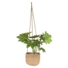 Set Of 3 Hanging Plant Pots  [553751]