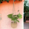 Set Of 3 Hanging Plant Pots  [553751]