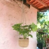 Set Of 3 Hanging Plant Pots  [553751]