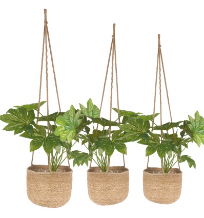 Set Of 3 Hanging Plant Pots  [553751]