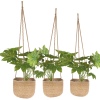 Set Of 3 Hanging Plant Pots  [553751]