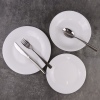 12 Pcs Opal Glass Dinner Set