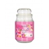 StarLyte 18oz Jar Candle