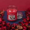 StarLyte 18oz Jar Candle