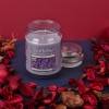 StarLyte 18oz Jar Candle