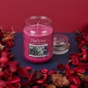 StarLyte 18oz Jar Candle