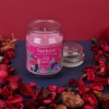 StarLyte 18oz Jar Candle