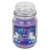 StarLyte 18oz Jar Candle