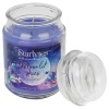 StarLyte 18oz Jar Candle