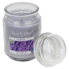 StarLyte 18oz Jar Candle