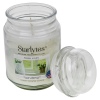 StarLyte 18oz Jar Candle