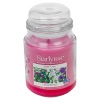 StarLyte 18oz Jar Candle