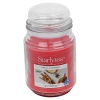 StarLyte 18oz Jar Candle