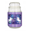 StarLyte 18oz Jar Candle