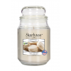 StarLyte 18oz Jar Candle