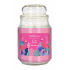 StarLyte 18oz Jar Candle