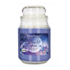 StarLyte 18oz Jar Candle