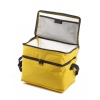 Centrix Yellow Cooler Bag