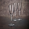 TWIST Champagne FLute 150ml [1004525][153325]