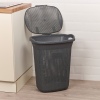 65L VIOLETTA Laundry Basket