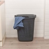 65L VIOLETTA Laundry Basket