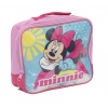 Disney Thermal School Lunch Bags