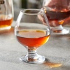 Cognac 395cc Glass [1004077][150669]