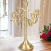 5-Arm Gold Candelabra [682107]