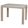 PRESTIJ Plastic Coffee Table 40cm x 60cm [001438]