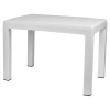 PRESTIJ Plastic Coffee Table 40cm x 60cm [001438]