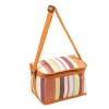Cooler Bags Assorted Colours