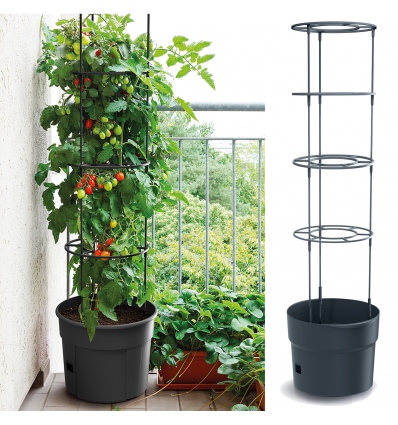 Anthracite Tomato Grower Tower
