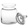 Airtight Kitchen Jar