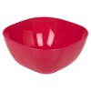 EDEN Plastic Salad Bowl