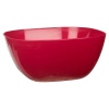 EDEN Plastic Salad Bowl