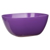 EDEN Plastic Salad Bowl