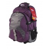 Samsonite American Tourister Purple Backpack (281761)
