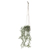 Hanging Planter Pot [284264]