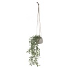 Hanging Planter Pot [284264]