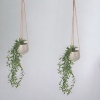 Hanging Planter Pot [284264]