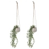 Hanging Planter Pot [284264]