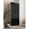 ALMARI High Gloss Tall 2 Door Wardrobe With 2 Drawers