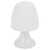 LED Warm White Table Lamp [191340]