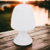 LED Warm White Table Lamp [191340]