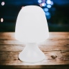 LED Warm White Table Lamp [191340]