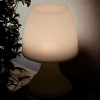 LED Warm White Table Lamp [191340]